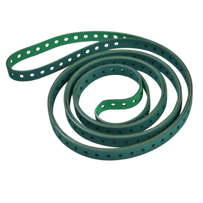 Kong belt 2