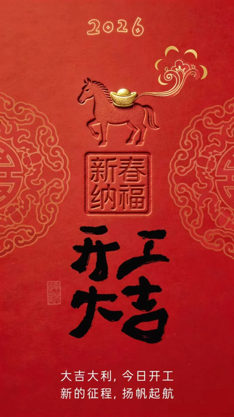 AISunny - 2026 Lunar New Year Kickoff: Your Trusted Circular Knitting...